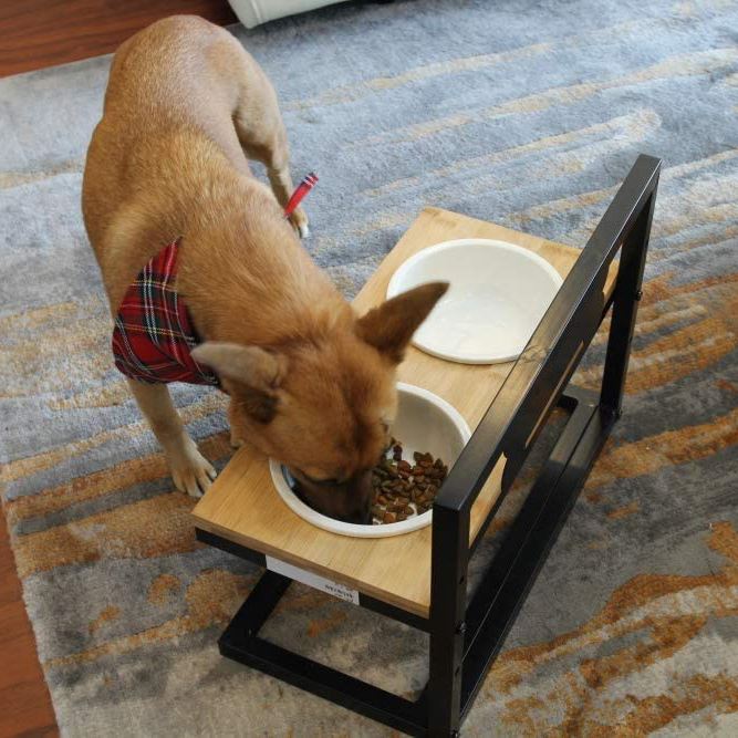  TAMAYKIM Ceramic Elevated Dog Bowls Adjusts to 3